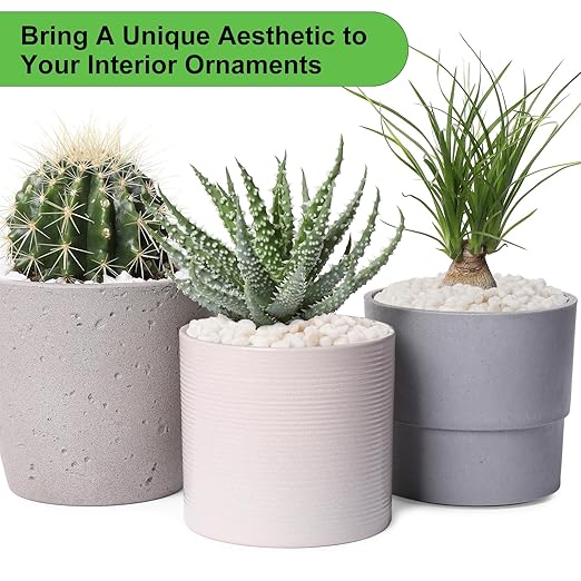 10 lbs White Garden Pebbles for Plants, 3/8" Small Plant Rocks for Pots Indoor, Decorative Pea Gravel for Succulents, Bamboo, Terrarium, Landscaping, Garden