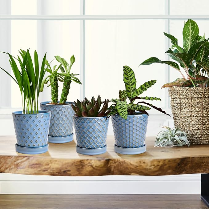 EFISPSS Plant Pots, 5 Inch Pots for Indoor Plants, Planters with Drainage Hole and Saucer, Ceramic Flower Pots Desktop Office Windowsill Decoration Gift Set of 4 - Sky Blue