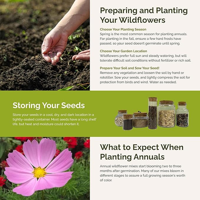 Eden Brothers Tickled Pink Flower Mixed Seeds for Planting, 5 lb, 2,400,000+ Seeds with Cosmos, Cornflower, Zinnia | Attracts Pollinators, Plant in Spring or Fall, Zones 3, 4, 5, 6, 7, 8, 9, 10