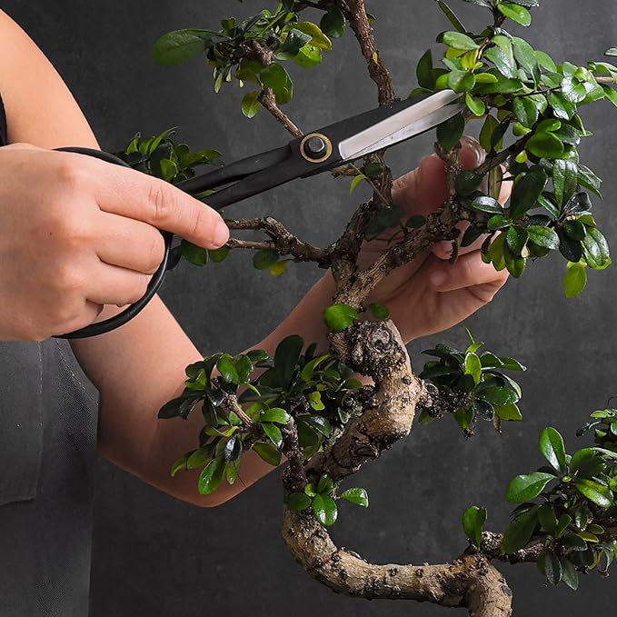 Professional Bonsai Slim Scissors | Pruning Shears for Trimming Plants | Japanese Gardening, Bonsai Tools | Garden Scissors