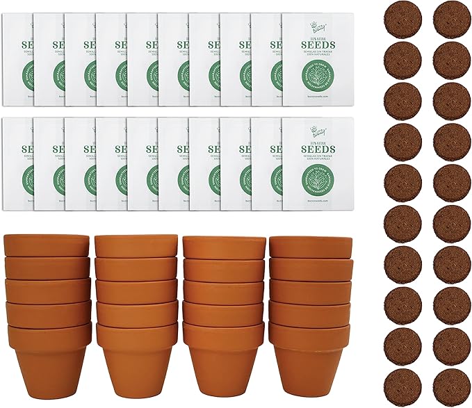 Buzzy Seeds Terracotta Mini Grow Pots | Herb, Plant, Flower Starter Kit for Kids & Adults | Assorted 20-Pack, | Lavender Seeds Guaranteed to Grow | Best Indoor Grow Your Own Plant Gardening Gift
