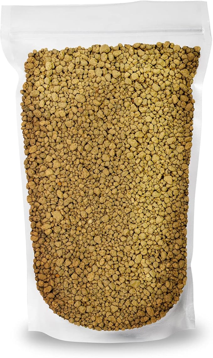 Japanese Hyuga Pumice - Premium Additive for Orchid & Bonsai Tree Soil |Professional Imported Sifted and Ready to Use (1 Quart Bag)