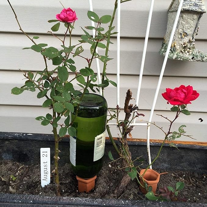 XXYXXY Terracotta Watering Spikes Plant Watering Clay Automatic Watering Device for Plants Used in Holidays, Indoor Plant Watering Device Clay Automatic Watering Device (10PCS)