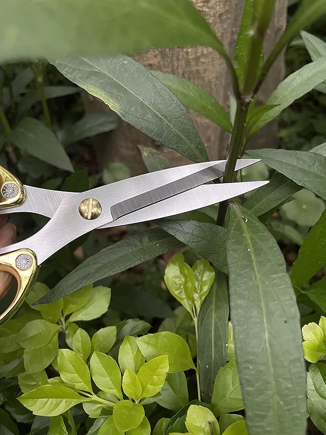 Japanese Garden Clippers, Houseplant plant shears, Floral Pruner Botanical Flower Stem scissors, Gardening Shears with Straight Stainless Steel Blades, Easy Use Garden Tools (golden-k26)