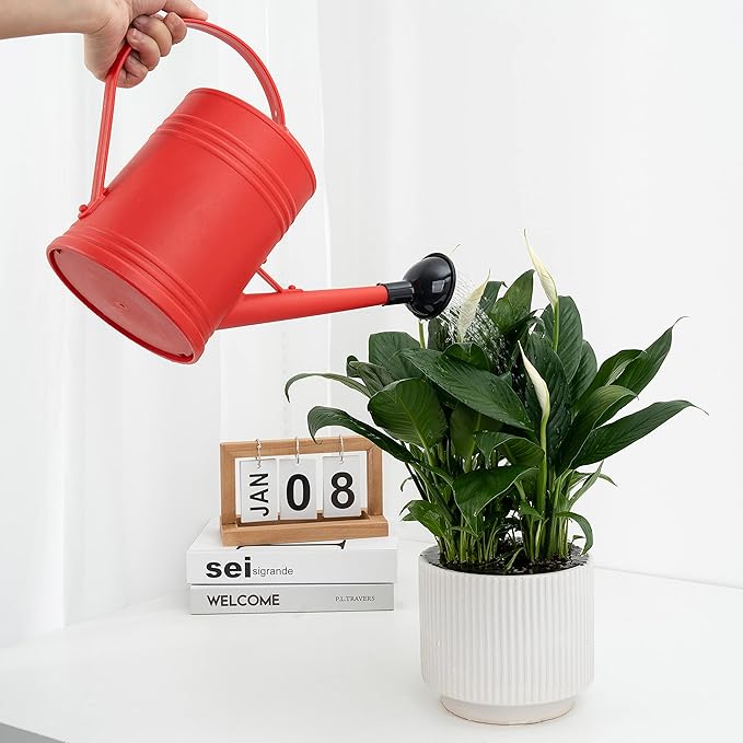 Plastic Indoor Watering Can with Sprinkler Head - 68 oz, 1/2 Gallon