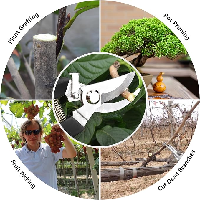 Garden Scissors for Plant, Tip Pruning Shears for Cutting Flowers, Trimming Plants, Bonsai and Fruits Picking (Black Bypass Blade Pruner)