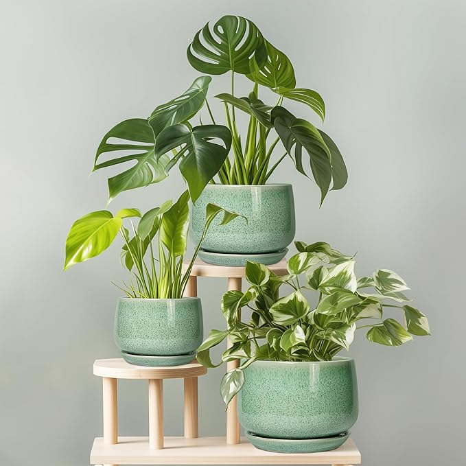 G EPGardening Ceramic Pots for Plants - 6 Inch Plant Pot with Drainage Hole and Saucer, Modern Ceramic Planter for Indoor Outdoor, Round Flower Planter, Gifts for Plants Lovers, Home Decor, Green