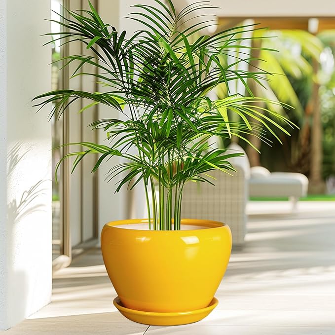 Ceramic Planter - 10 Inch Plant Pot for Indoor Outdoor Plants Glaze Modern Round Planter with Drainage Hole and Saucer for Garden Office Home Room Patio Decor, Yellow