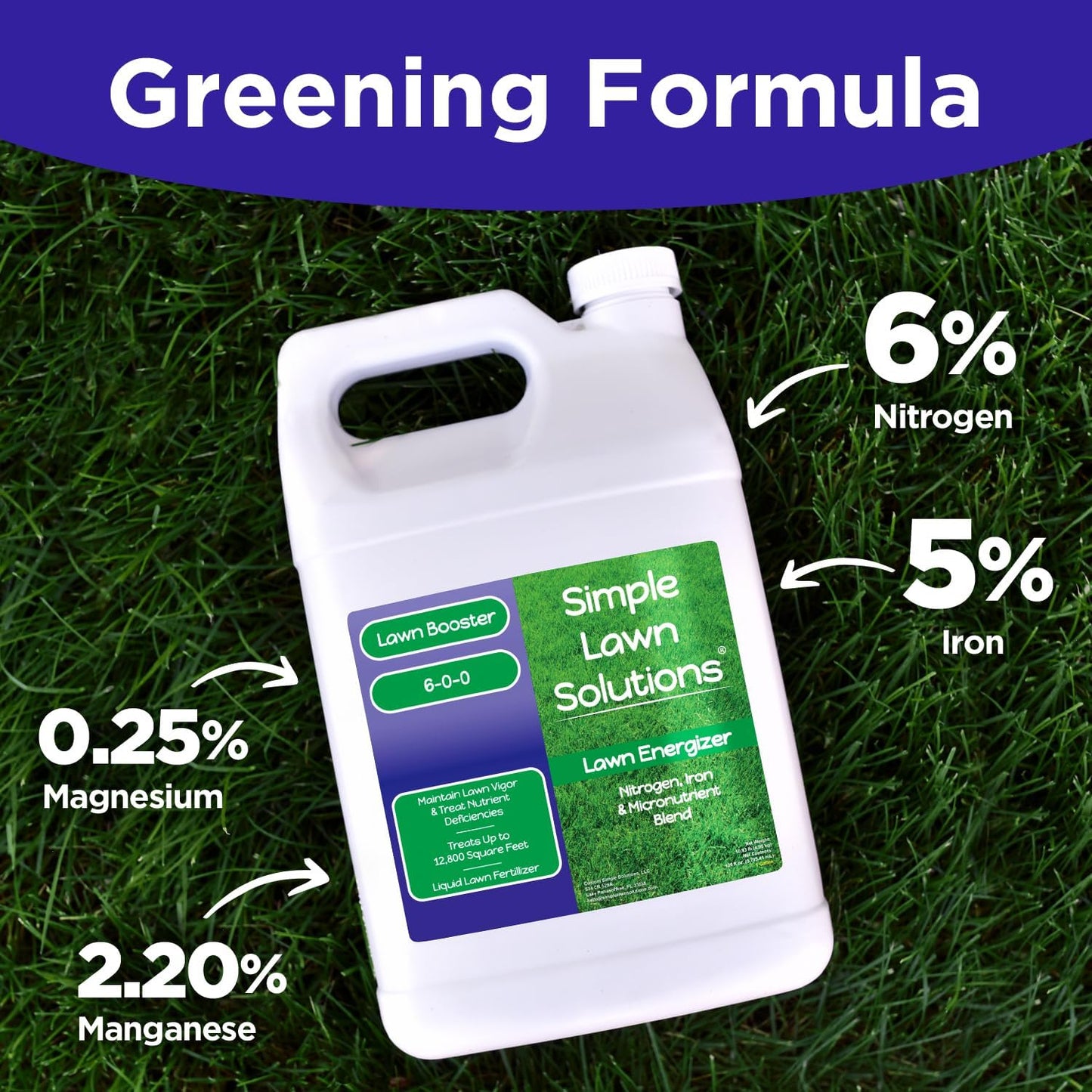 Commercial Grade Lawn Energizer - Grass Fertilizer Booster with Nitrogen, Iron, Micronutrients - Liquid Turf Spray Concentrated Fertilizer- Any Grass Type - Simple Lawn Solutions (1 Gallon)