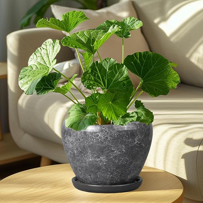 8 Inch Plant Pot - Ceramic Planter Pot with Drainage Hole and Saucer, Glaze Garden Pot Modern Flower Pot for Indoor Plants, Gray