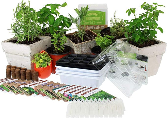 Culinary Indoor Herb Garden Starter Kit | Premium Herb Seeds | 18 Non-GMO Varieties | Grow Cooking Herbs & Spices | Seeds: Mint, Basil, Fennel, Anise, Rosemary, Dill, Mustard, More