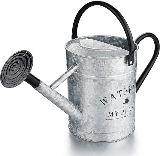 Galvanized Watering Can for Outdoor Indoor Plants, 1 Gallon Decorative Countryside Style Water Can with Removable Spout, Perfect Metal Watering Can for Indoor Plants and Garden Flower