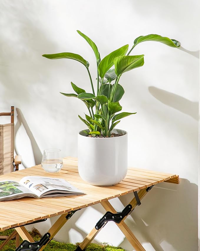 vancasso 8 Inch Ceramic Plant Pots, Planters with Drainage Hole, Flower Pots Planters Pots for Indoor Plants, Modern Indoor Decorative Garden Pot, Home Decor, White