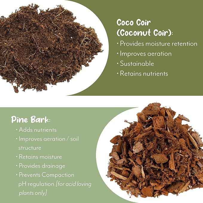 Aroid Plant Potting Soil Mix (8 Quarts), for Pothos Devil's Ivy, ZZ Plant, Chinese Evergreen, Dumb Cane, Philodendron, Syngonium, Alocasia, Colocasia Etc.