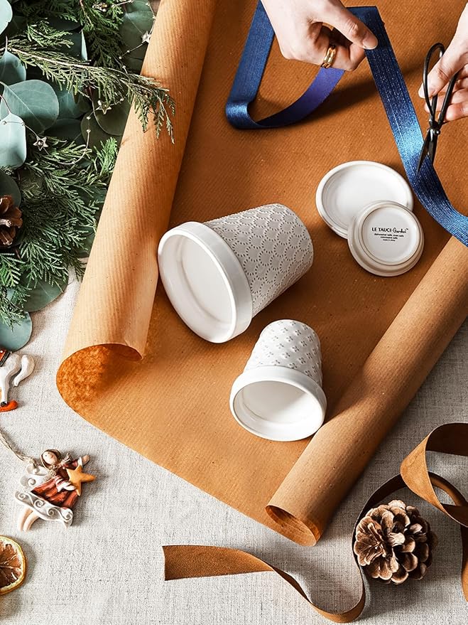 LE TAUCI Ceramic Succulent Pots, 3 Inch Mini Flower Pots for Indoor Plant Cactus, Embossed Small Plant Pot with Drainage Hole & Saucer, Home Decor - Set of 4, Arctic White