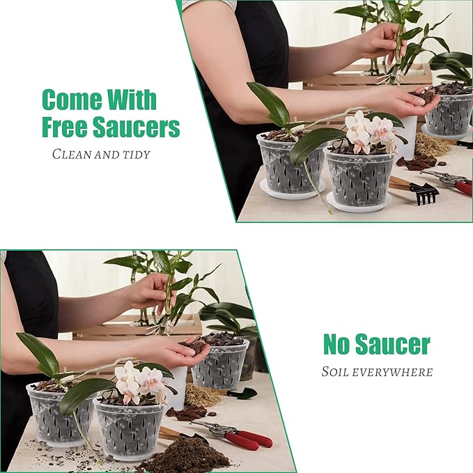 Orchid Plants- 2 Each of 4, 5, 6 and 7 inch- 8 Sets with Saucers, Orchid Pots with Holes and Clear Plastic Orchid Pots for Repotting
