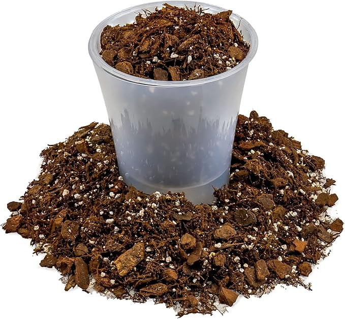 Premium Gardenera House Plant Potting Mix | Fern + New Zealand Bark + Perlite | Great for Pothos, Spider Plants, Montsera, Philodendron, English Ivy - 4 Quart Bag