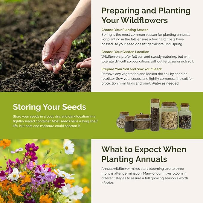 Eden Brothers Crazy for Cosmos Flower Mixed Seeds for Planting, 1 lb, 480,000+ Seeds with Cosmos Gloria, Pinkie, Purity | Attracts Pollinators, Plant in Spring or Fall, Zones 3, 4, 5, 6, 7, 8, 9, 10