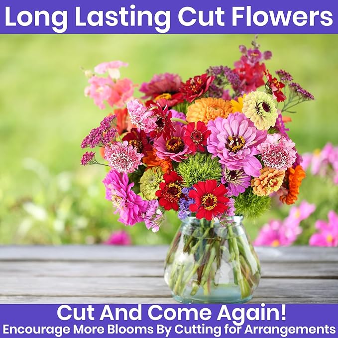 NatureZ Edge Zinnia Seeds for 2025 Planting Outdoors, Over 650 Flower Seeds, 5g, Non GMO Made in USA, Bulk Semillas De Flores para Sembrar, Variety Mix, Easy to Grow Zinnia Seed Mix