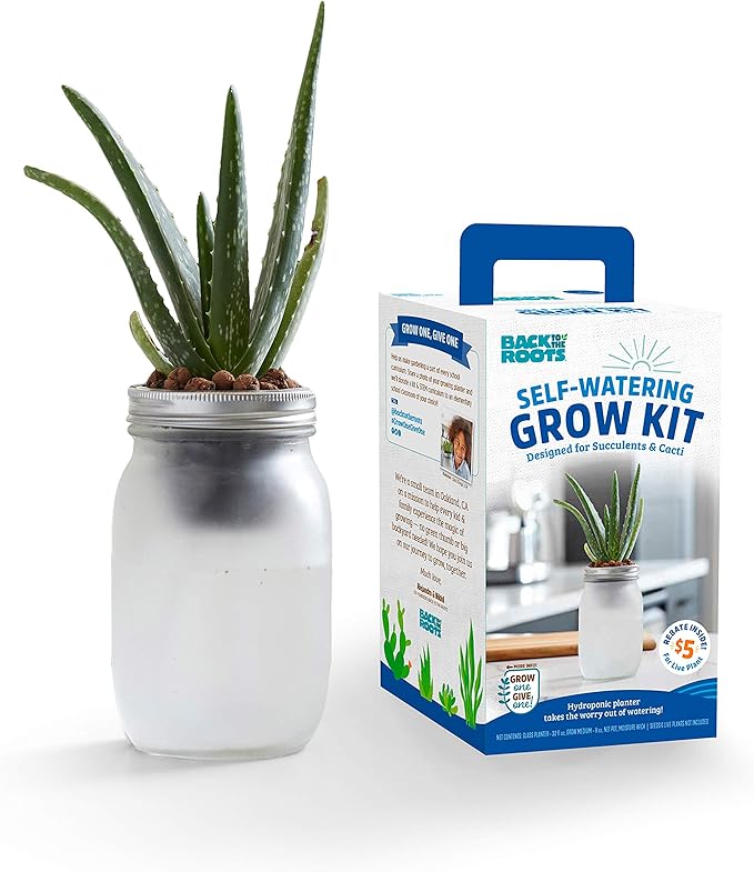 Back to the Roots Self Watering Grow Kit - Glass Hydroponic Planters for Succulents and Cacti Self-Watering System