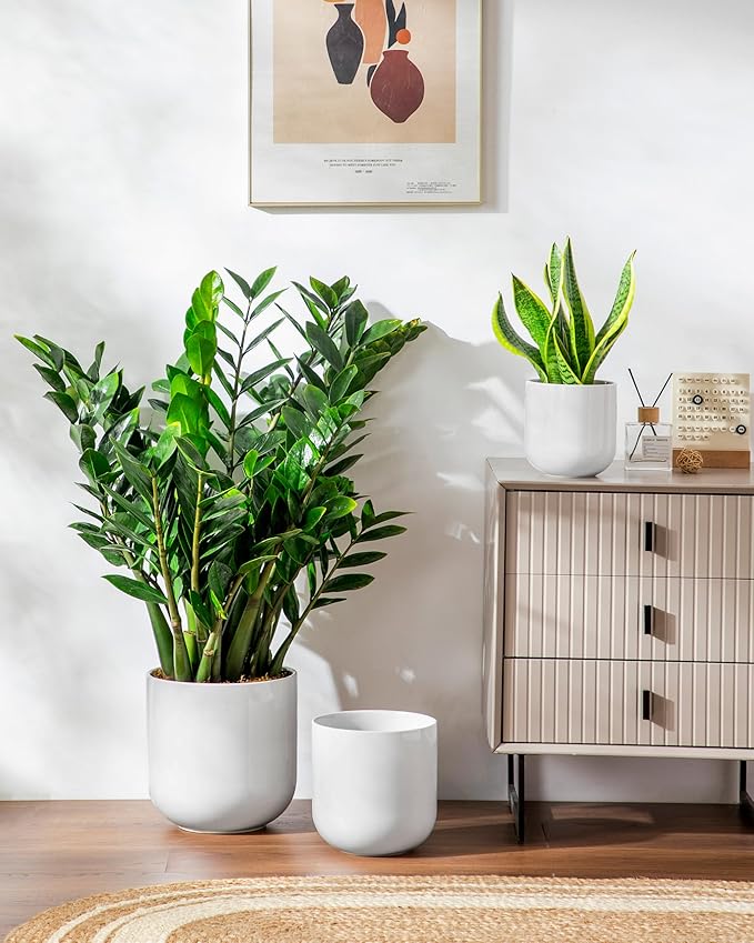 vancasso 6+8+10 inches Ceramic Plant Pots, Set of 3, Planters with Drainage Hole, Flower Pots Planters Pots for Indoor Plants, Modern Indoor Decorative Garden Pot, Home Decor, White