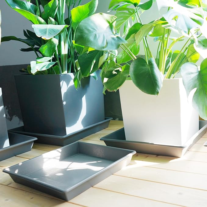 Square Plant Saucer 12 Inch 5 Pack, Plant Stand Plant Trays for Pots Heavy Duty Gray Plastic Plant Saucers for Indoors Outdoors, Flower Pot No Holes Plant Lover Gardening Gifts