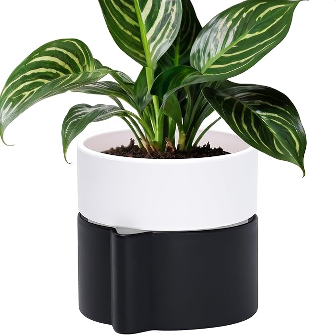 Phoenix Vine 6.5 Inch Self-Watering Planter Pot with Terracotta Insert, Deep Water Reservoir, and Ceramic-Alike BPA-Free Plastic Pot for Plant, Modern Planter for Houseplants, Black/White, 53-C-S-7