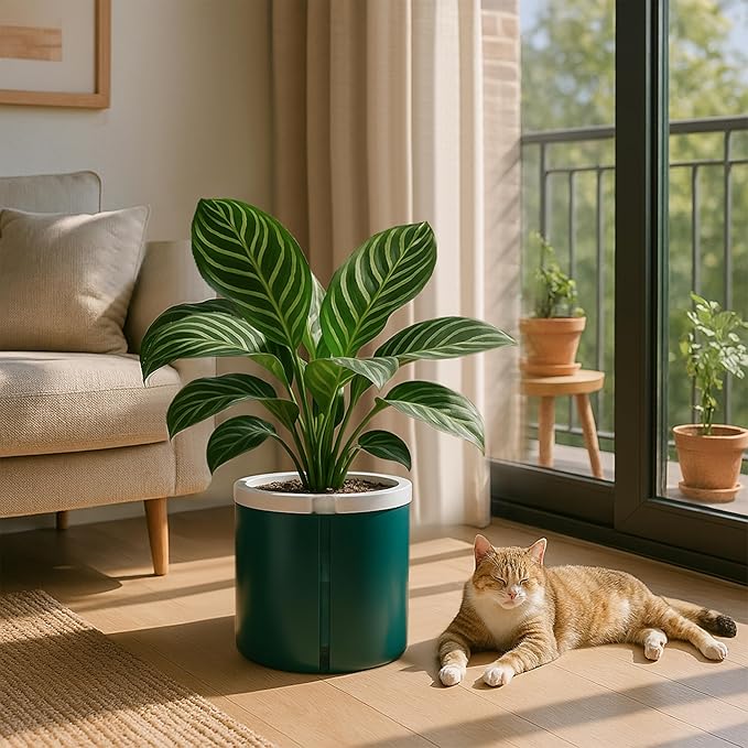 D'vine Dev 8 Inch Design Self Watering Planter for Indoor Plants, White Terracotta Pot with Teal Cylinder Glass Cup, 37-X-C-5