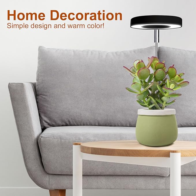 Grow Lights for Indoor Plants Small Potted - Full Spectrum, Auto 3/9/12H Timer, 10-Level Dimming & Adjustable Height - Compact Grow Light for Succulents, Herbs, Foliage in Home/Office (Black,2PACKS)