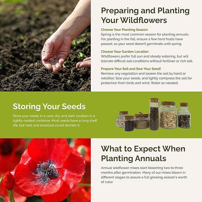 Eden Brothers Field of Dreams Flower Mixed Seeds for Planting, 1 lb, 480,000+ Seeds with German Chamomile, Cornflower | Attracts Pollinators, Plant in Spring or Fall, Zones 3, 4, 5, 6, 7, 8, 9, 10