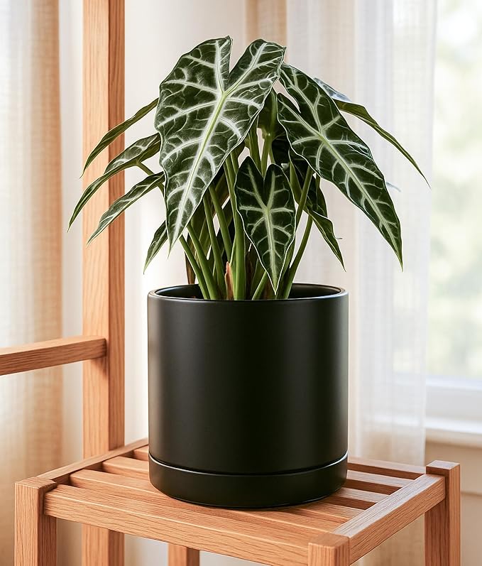 D'vine Dev 10 Inch Ceramic Planter Pot with Drainage Hole and Saucer, Indoor Cylinder Round Planter Pot, Black, 94-O-E-2