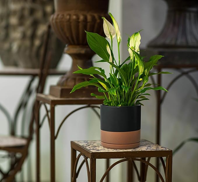 D'vine Dev 6 Inch & 8 Inch Ceramic Planter Pots for Plants with Drainage Hole and Saucer, Medium Plant Pots Set, Black/Speckled Tan, 94-G-M-7