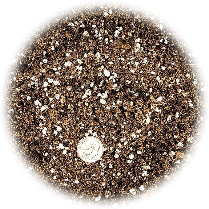 Premium Jade Plant Potting Soil Mix - (3 Quart Bag)