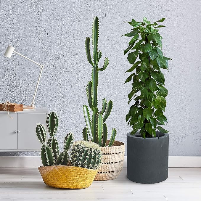 Kante 9.8",12.6",15.7" Dia Round Concrete Planter Set of 3, Modern Style Large Cylindrical Plant Pot with Drainage Hole and Rubber Plug for Indoor Outdoor Patio, Charcoal