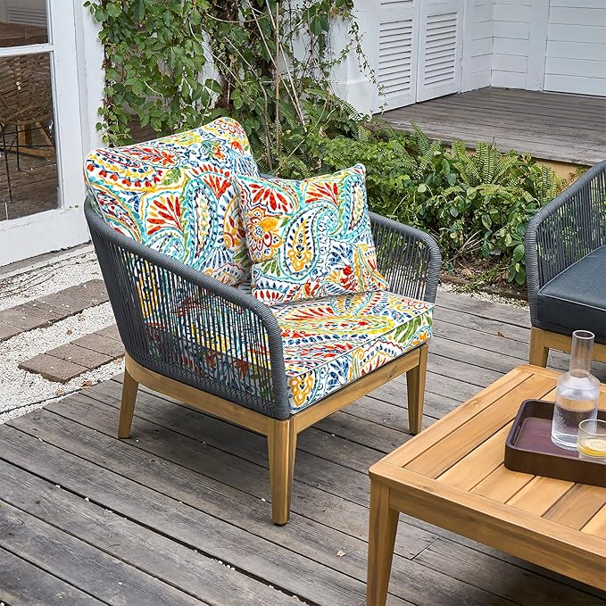 LVTXIII Outdoor Deep Seat Cushion 24"x24"x4" Patio Seat and Back Cushion Set Seasonal Chair Cushion for Dining Arm Chairs, Wicker Chairs and Garden Furniture Decoration, Paisley Multi