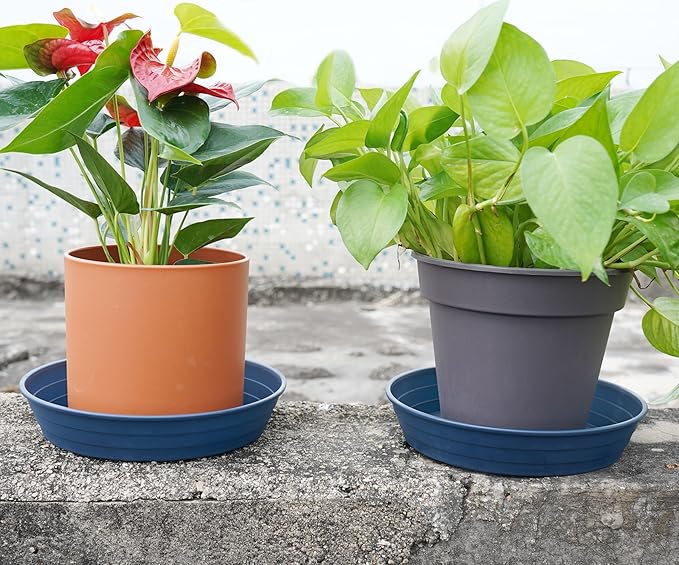 Plant Saucer 6 Inch 4 Pack 6 8 10 12 14 16 18 20 25, Plastic Plant Trays for Pots，Extra-Deep Plant Water Dray Tray, Bird Bath Bowl, Heavy Flower Plant saucers Indoors and Outdoor No Holes 6in-4 blue