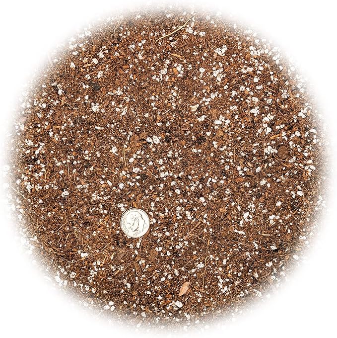Professional Carnivorous Plant Soil - Ready to Use for Venus Flytraps, Sundews, Pitcher Plants, Butterworts | Peat Moss, Coco Coir, Perlite - 10 Quart