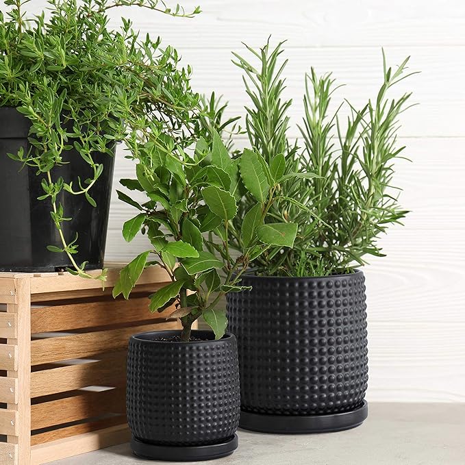 D'vine Dev 6 Inch 4 Inch Ceramic Indoor Planter Pots with Drainage Hole and Saucer, Beaded Design Flower Pots, Set of 2, Matte Black, 27-D-U-6