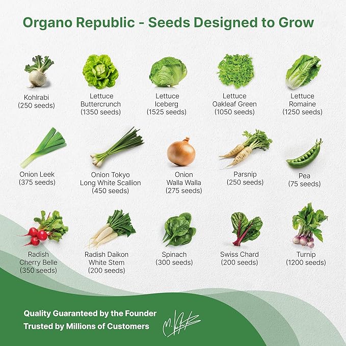 Organo Republic 30 Most Popular Winter Vegetable Garden Seeds Variety Pack- Outdoors/Indoor 8300+ Non-GMO Heirloom Veggie Seeds Broccoli Beet Carrot Cabbage Chives Lettuce Radish Pea Spinach & More