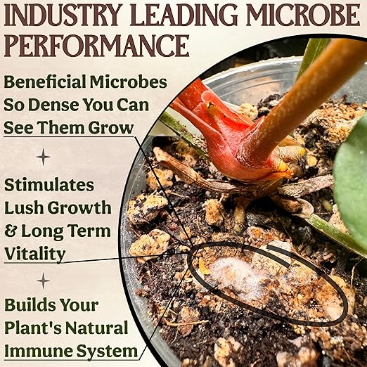 The All-in-One Complete Organic Plant Food, Indoor Plant Food for Houseplants, Organic Fertilizer for Vegetable Gardens, 1lb = 25 Formulated Servings Feeds 50 gal Instantly and Slow Release