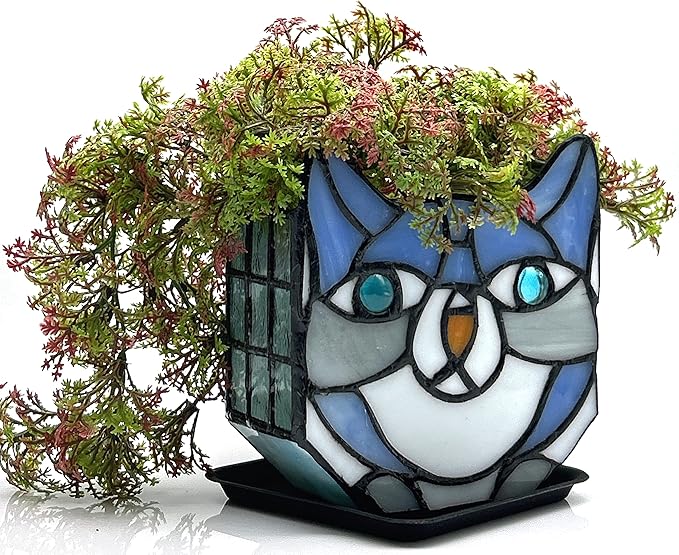 Indoor Plant Display Glass Container, Unique Pots for Plants, Glass Container Decoration,Suitable for Growing Small Plants 4.6x5.15x3 in （Excluding Plants）