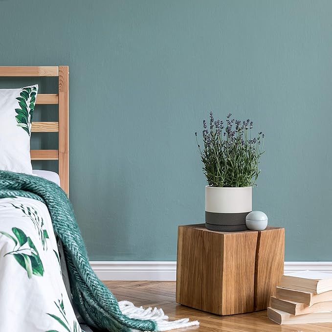 D'vine Dev 8 Inch & 10 Inch Ceramic Planter Pot for Plants with Drainage Hole and Saucer, Large Plant Pots Set, White/Speckled Grey, 94-G-L-6