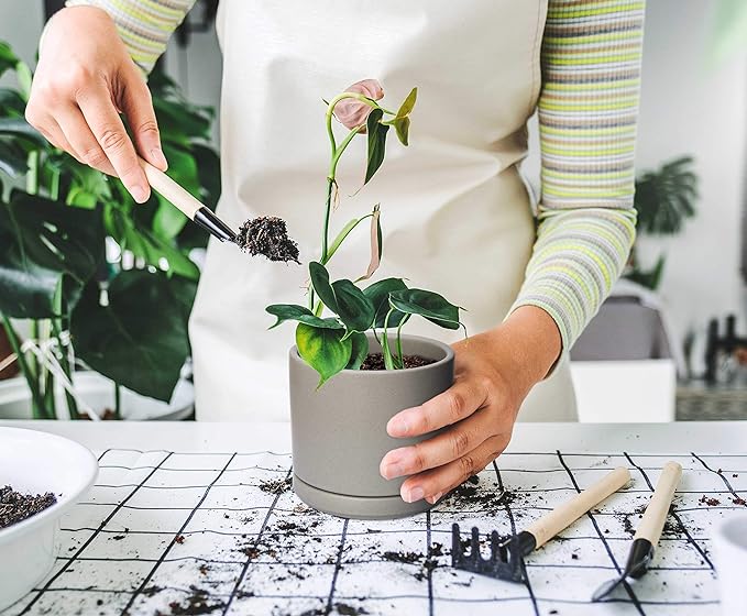 D'vine Dev Ceramic Planter Pot with Drainage Hole and Saucer, Indoor Cylinder Round Flower Pot, 4.6 Inch, Grey, 94-O-B-3