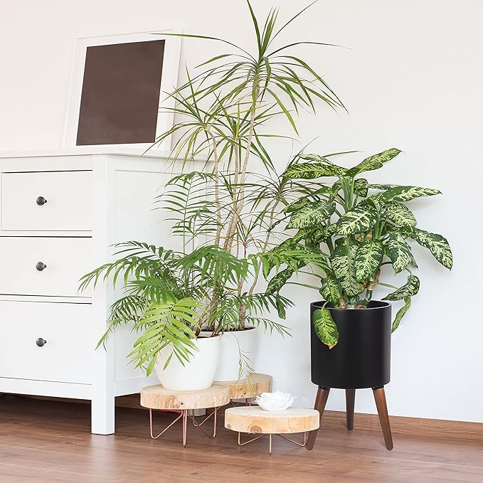 D'vine Dev 10 Inch Planter Pot with Stand, Mid-Century Tall Plant Pot with Legs for Indoor Plants, Medium, Black, 88-O-B-2