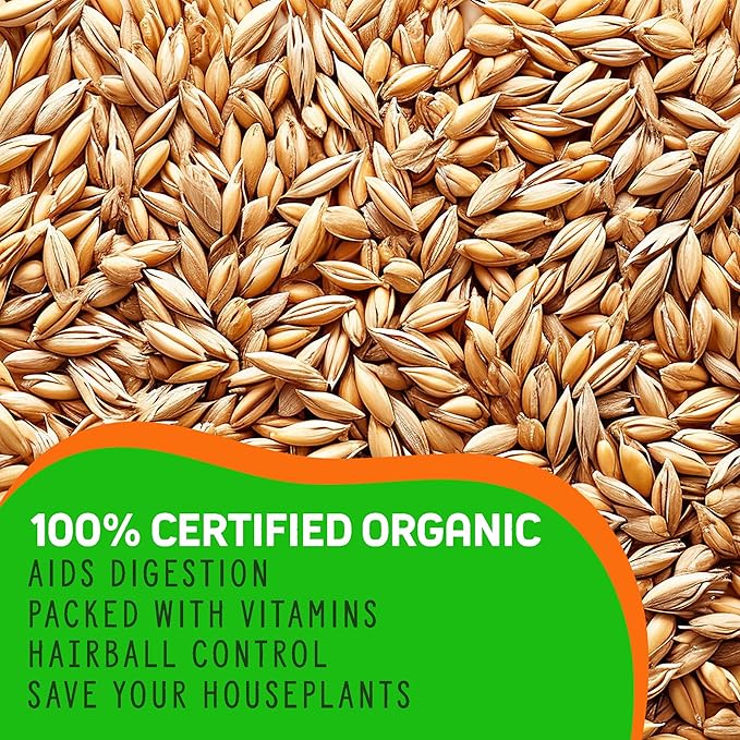 Organic Cat Grass Premium Grow Kit 4 Pack | Non GMO Mixed Heirloom Seeds | Wheatgrass - Oat Grass - Barley Grass Blend