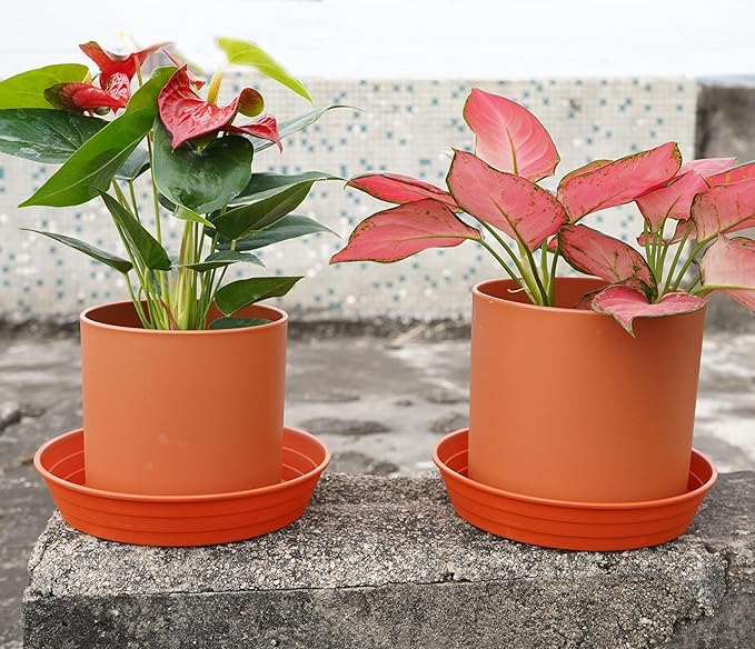 Plant Saucer 6 Inch 4 Pack 6 8 10 12 14 16 18 20 25, Plastic Plant Trays for Pots，Extra-Deep Plant Water Dray Tray, Bird Bath Bowl, Heavy Flower Plant saucers Indoors and Outdoor No Holes 6in-4 red