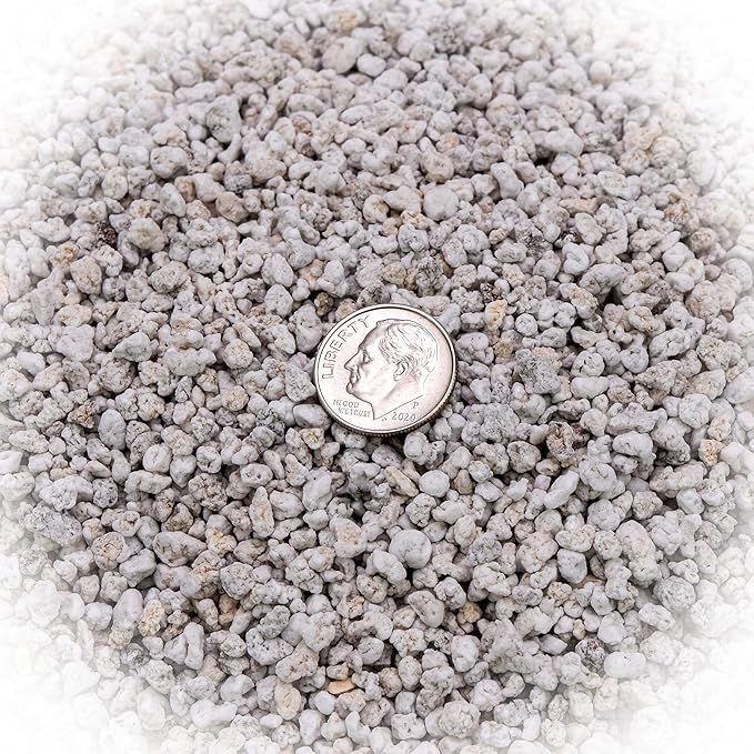 Organic Perlite - Medium/Fine Grade (4 Quart Bag) Horticultural Soil Amendment for Indoor & Outdoor Container Plants for Drainage Management and Enhanced Growth