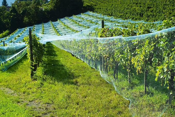 CandyHome 13Ft x 33Ft Anti Bird Protection Mesh Garden Netting Seedlings Plants Flowers Fruit Trees Vegetables from Rodents Deer Reusable Fencing, Green