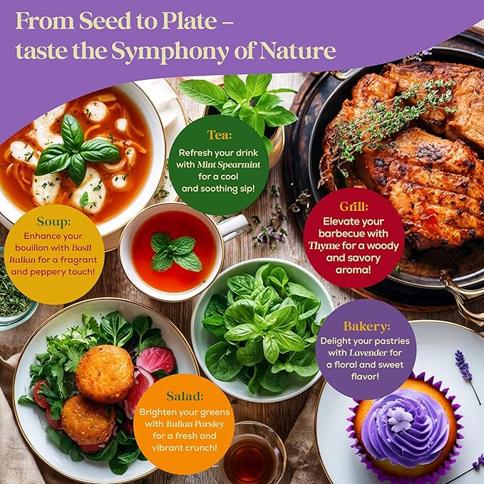 25 Culinary Classic Herb Seeds Variety Pack - 13,055+ Non-GMO Heirloom Herbs Seeds for Planting Indoor & Outdoor: Lavender, Rosemary, Dill, Mint, Catnip, Basil - Gardening Seeds Packets