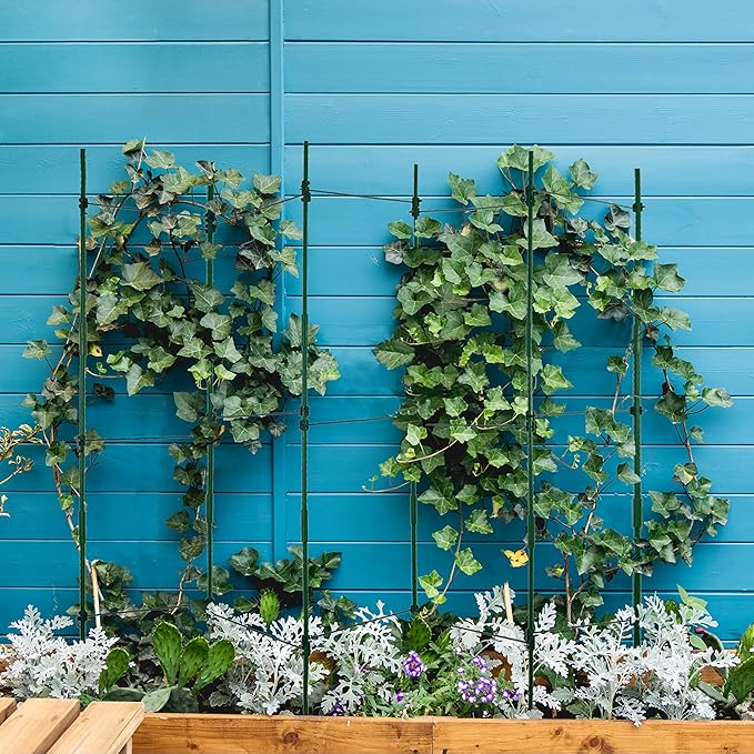 Gardzen Multi-use Tomato Cage Plants Support, Trellis Climbing Cage Stand for Pepper Eggplant Tomato Flowers